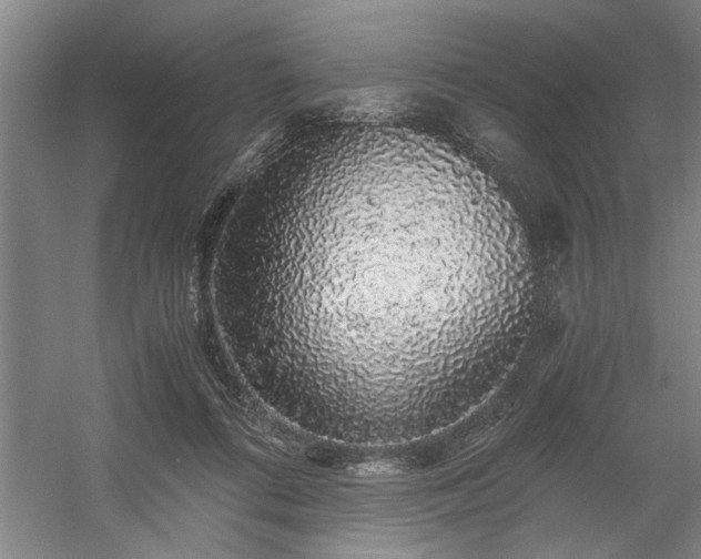 X0000058780312200509301122