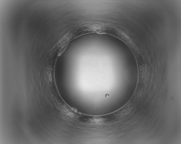 X0000058780313200509301122