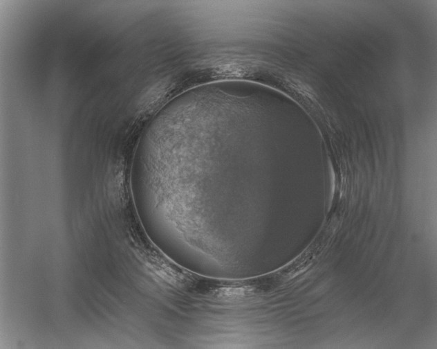 X0000058780314200509301121