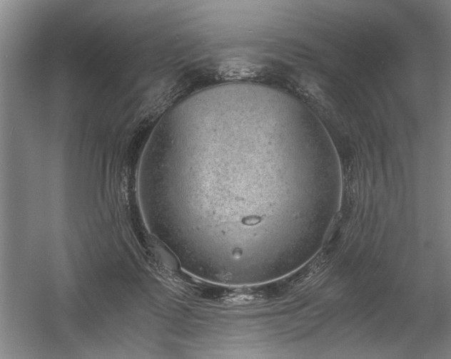 X0000058780315200509301121