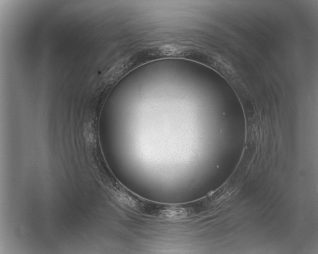 X0000058780317200509301121