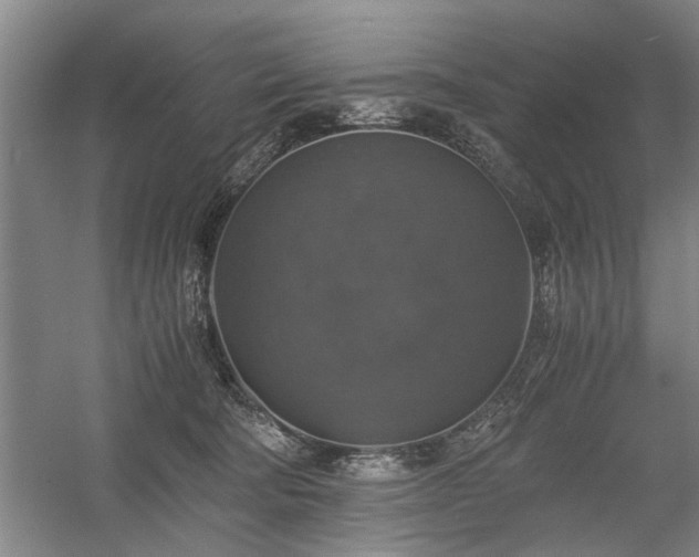 X0000058780322200509301121