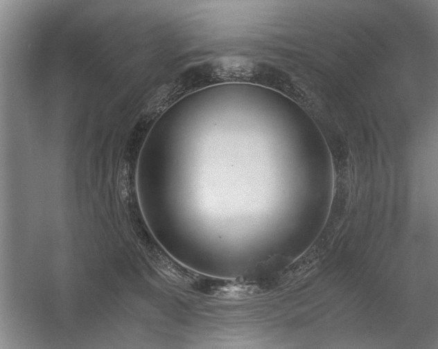 X0000058780323200509301121