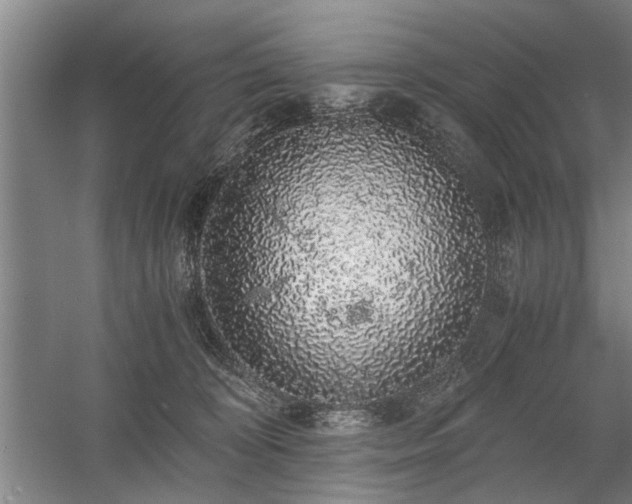 X0000058780324200509301121