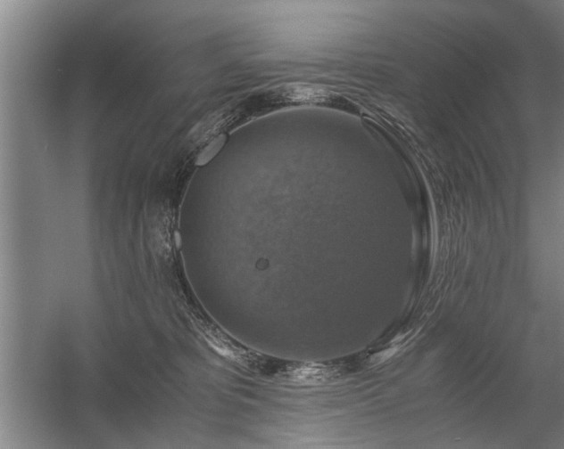 X0000058780325200509301121