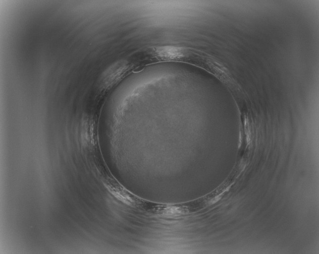 X0000058780330200509301121