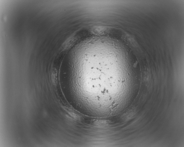 X0000058780332200509301121