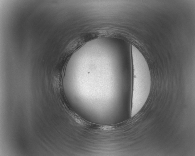 X0000058780333200509301121