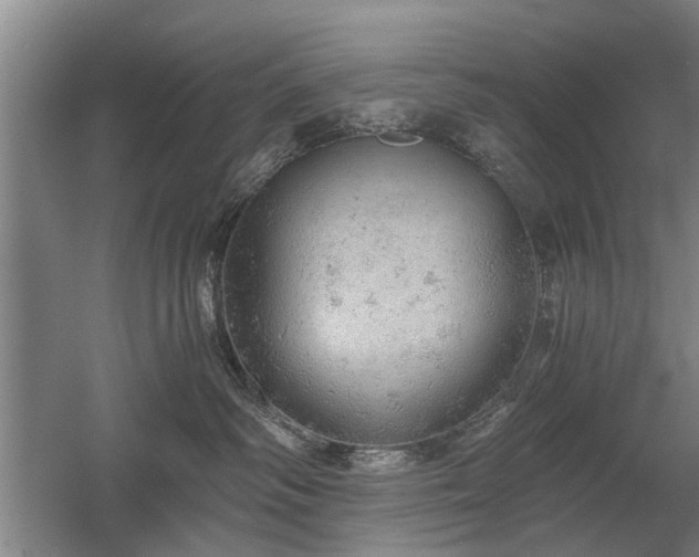 X0000058780334200509301121