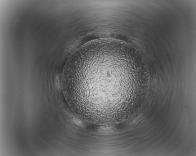 X0000058780335200509301121