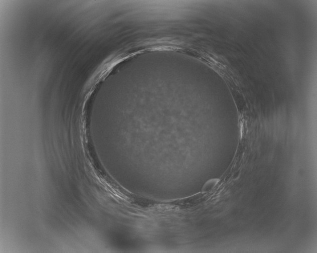 X0000058780339200509301120