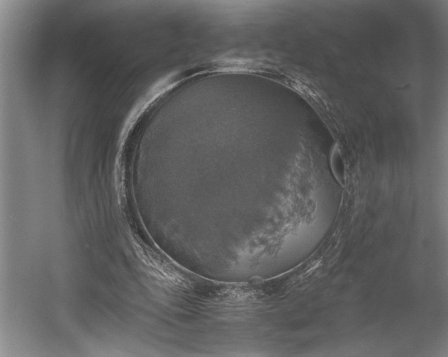 X0000058780343200509301120