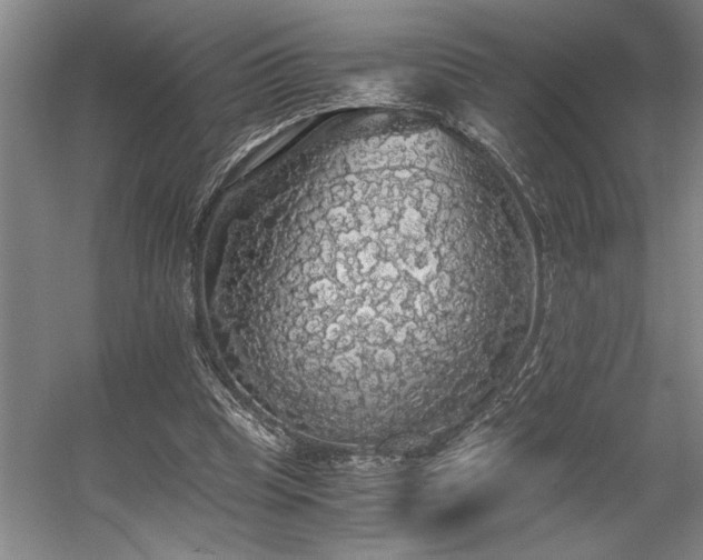 X0000058780345200509301120