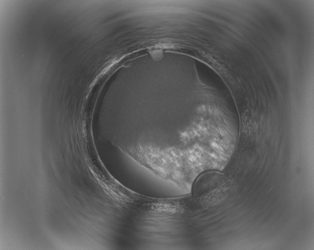 X0000058780347200509301120