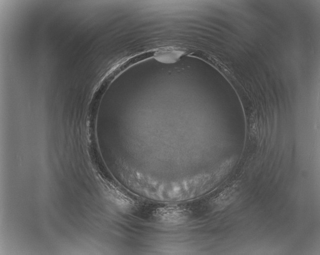 X0000058780351200509301121