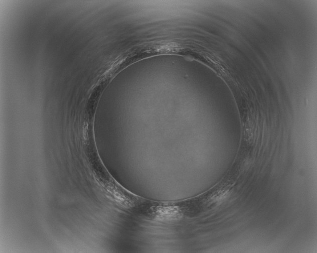 X0000058780355200509301121