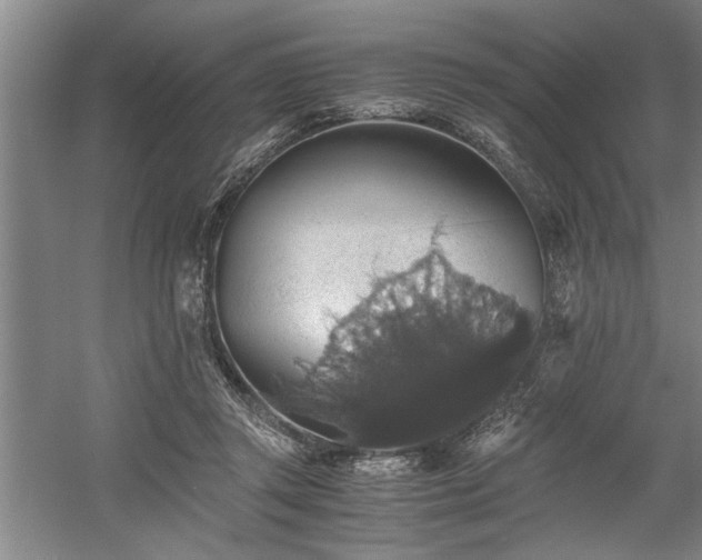 X0000058780357200509301121