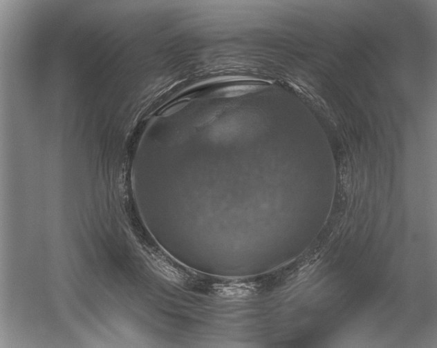 X0000058780359200509301121