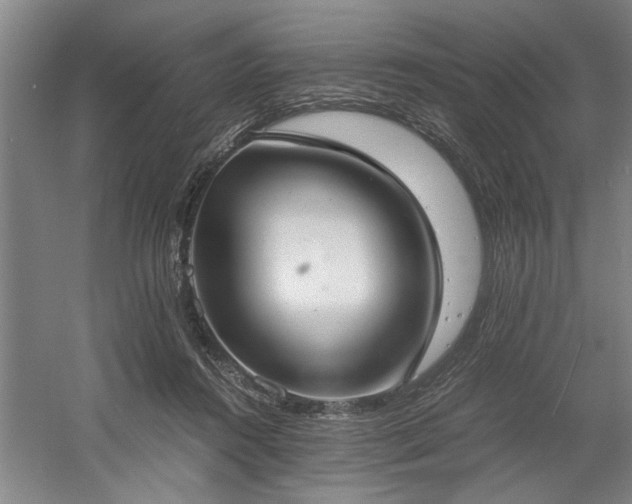 X0000058780360200509301121