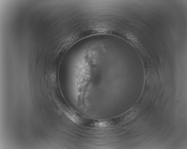 X0000058780365200509301121