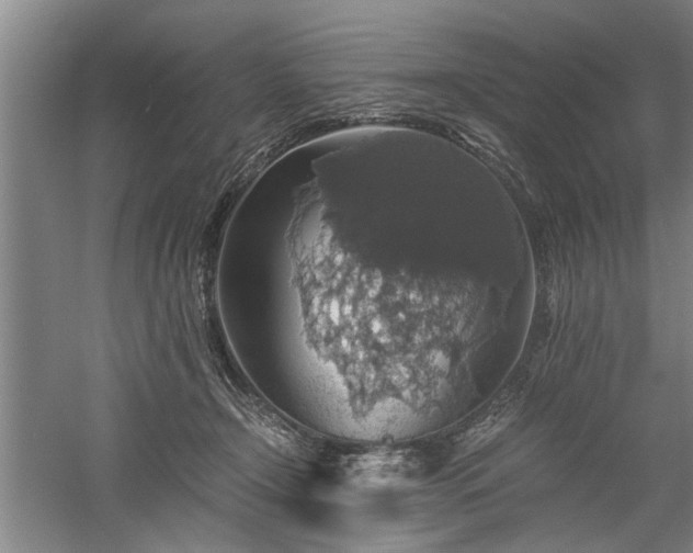 X0000058780366200509301121