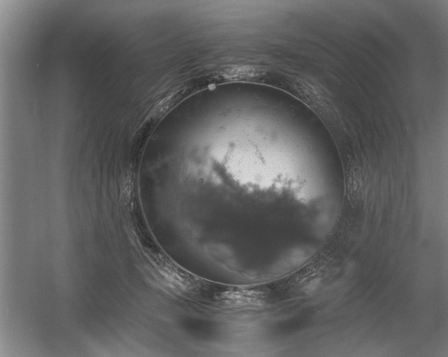 X0000058780367200509301121