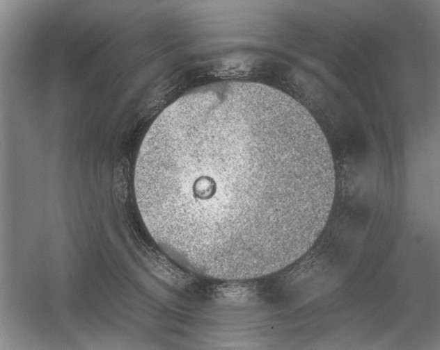 X0000058780370200509301121