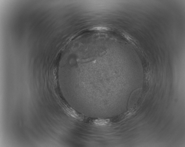 X0000058780373200509301121