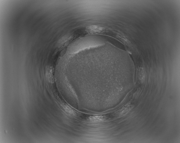 X0000058780378200509301121