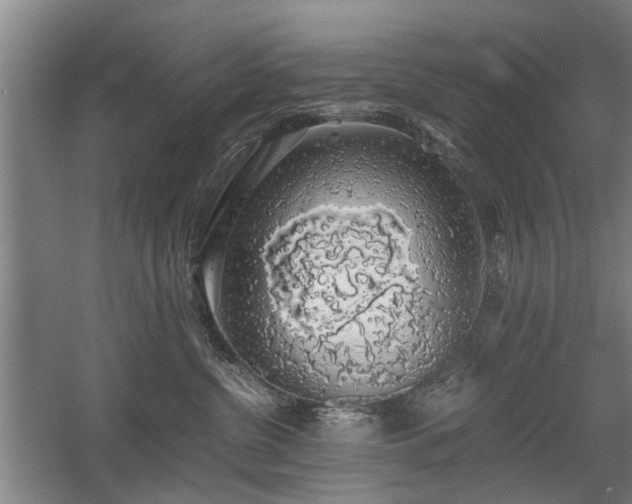 X0000058780380200509301121