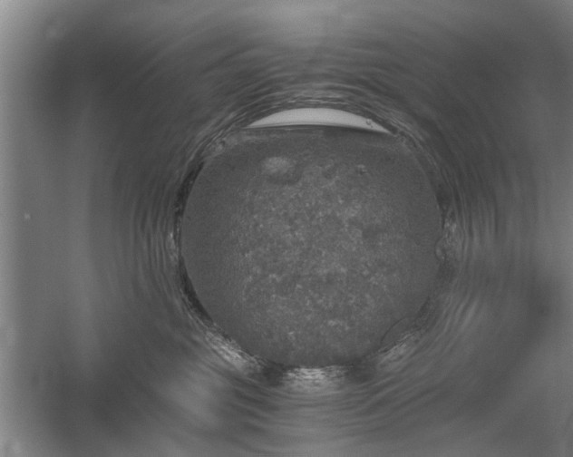 X0000058780381200509301121