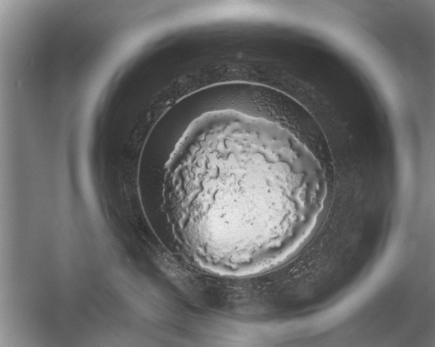 X0000058780382200509301121