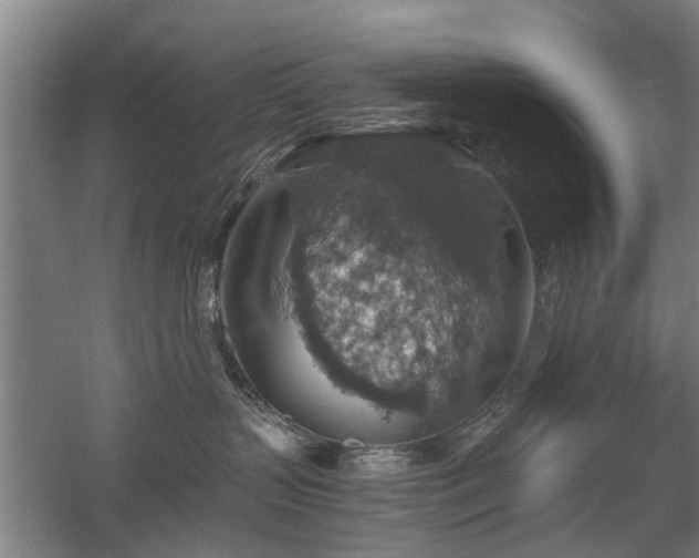 X0000058780383200509301121