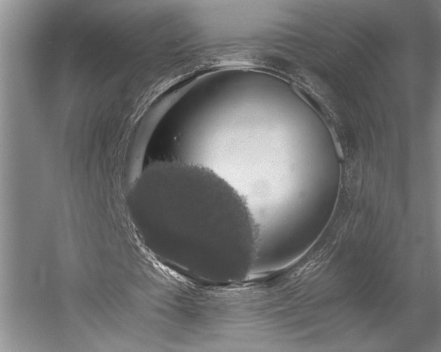 X0000058780385200509301120