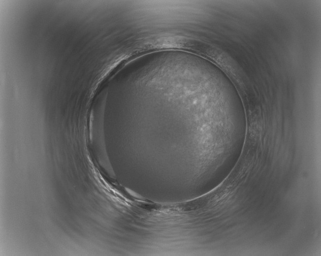 X0000058780386200509301120