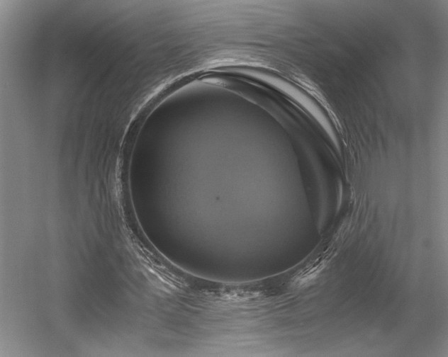 X0000058780387200509301120