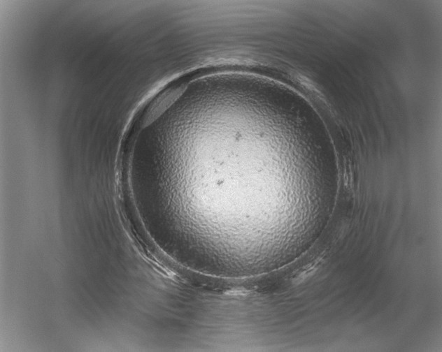 X0000058780388200509301120