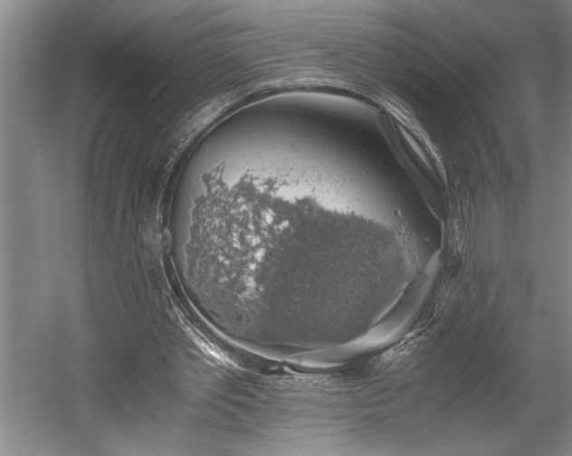 X0000058780389200509301120