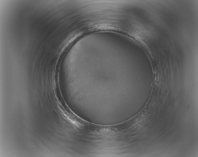 X0000058780390200509301120