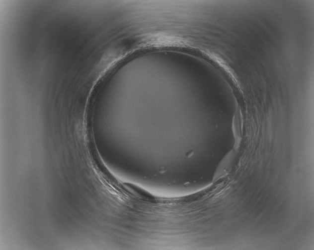 X0000058780391200509301120