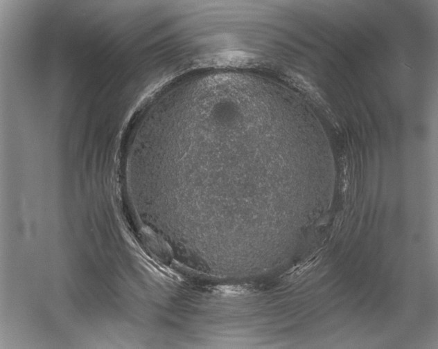 X0000058780392200509301120