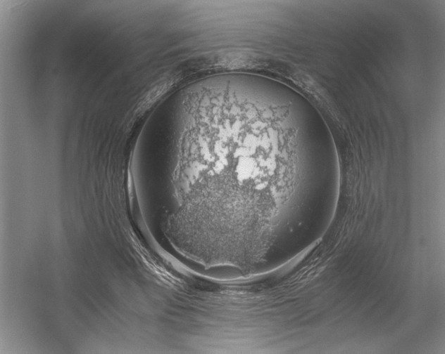 X0000058780393200509301120