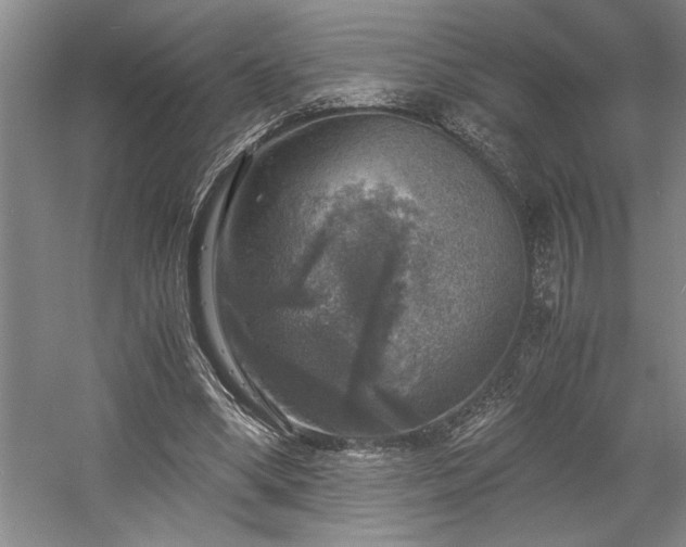 X0000058780394200509301120