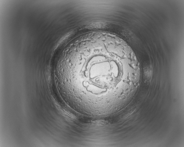 X0000058780396200509301120