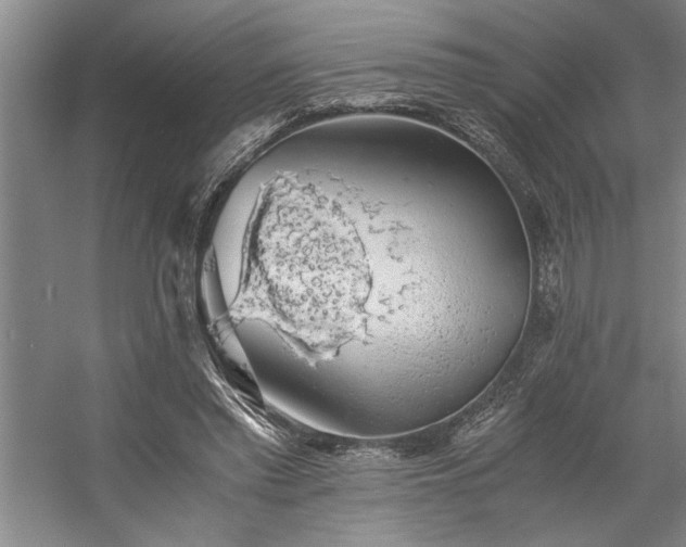 X0000058780397200509301120