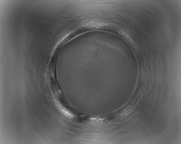 X0000058780399200509301120