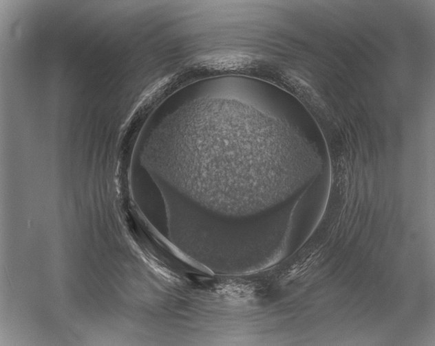 X0000058780400200509301120