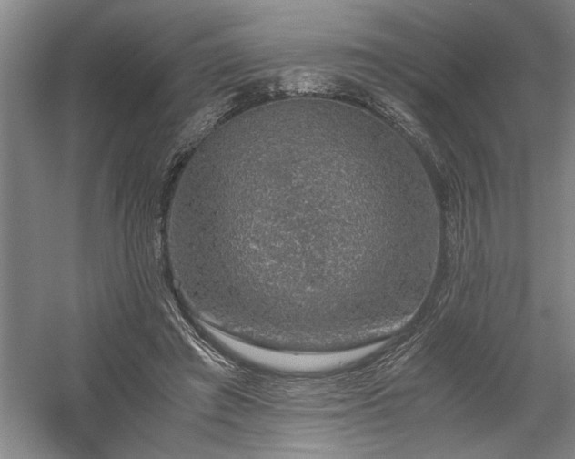 X0000058780401200509301120