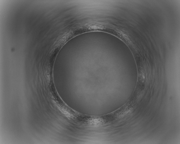 X0000058780402200509301120