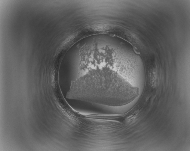 X0000058780404200509301120